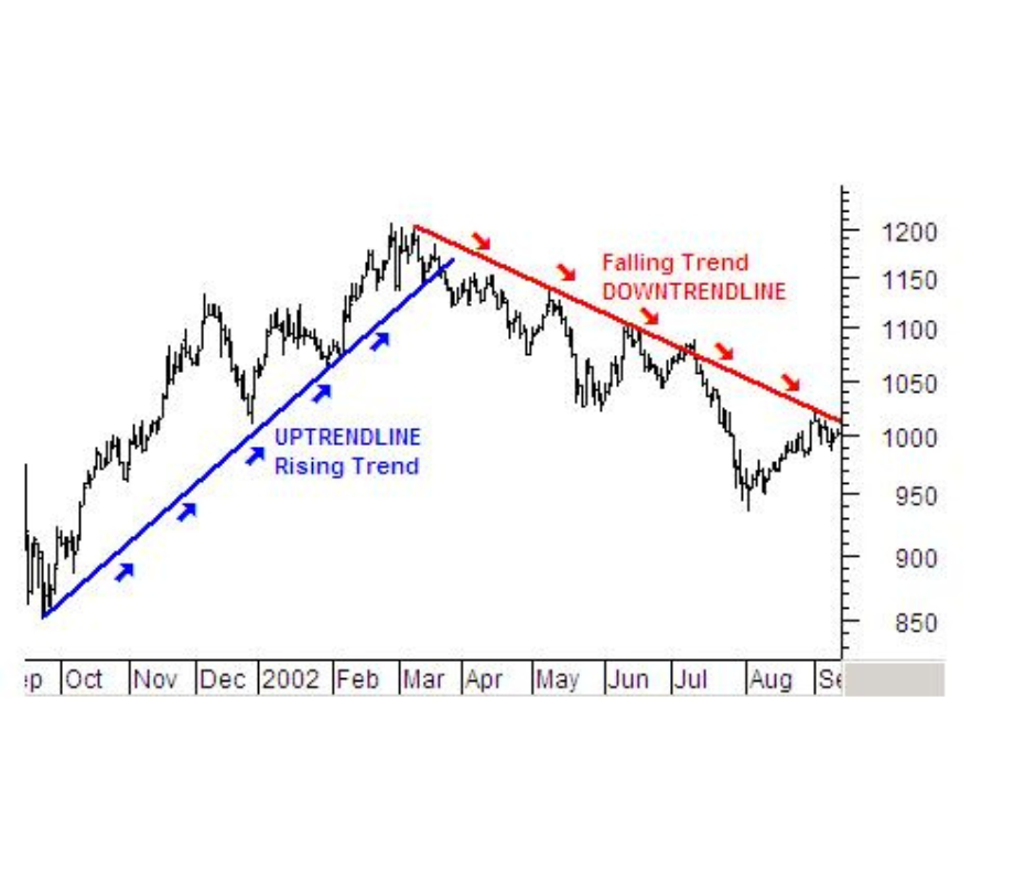 Basics of Trends in India