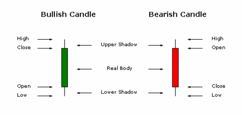 Bullish and Bearish candle